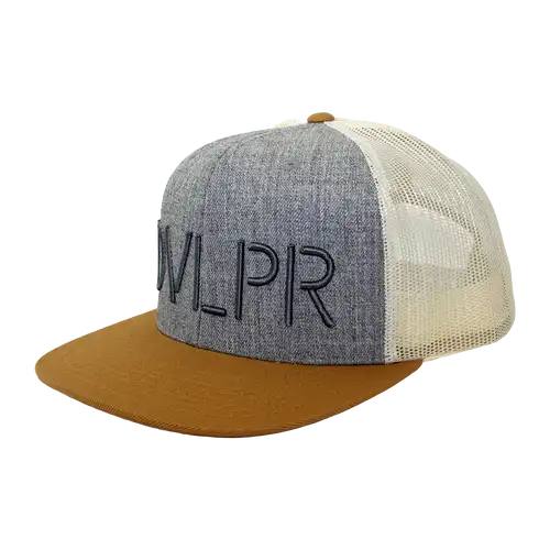 DVLPR Snapback - Birch/Grey