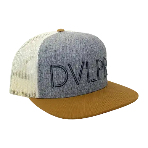 DVLPR Snapback - Birch/Grey
