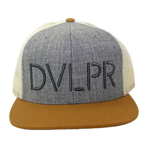 DVLPR Snapback - Birch/Grey